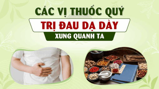 Các vị thuốc quý trị đau dạ dày xung quanh ta