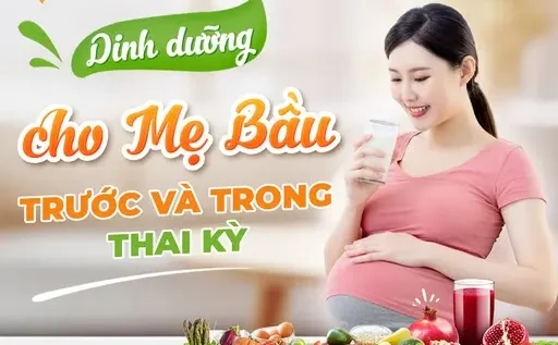 Dinh dưỡng cho mẹ bầu Dinh dưỡng cho mẹ bầu