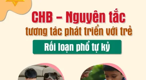 TLH chb tương tác phát triển