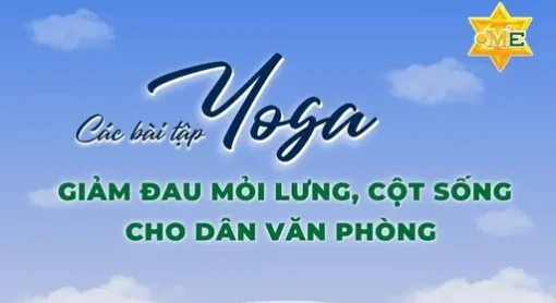 YG Các bài tập Yoga giảm đau mỏi lưng, cột sống cho dân văn phòng