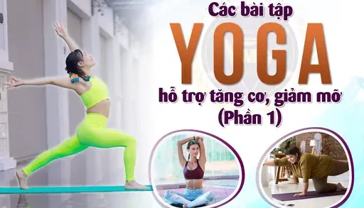YG Các bài tập Yoga hỗ trợ tăng cơ, giảm mỡ (Phần 1) YG Các bài tập Yoga hỗ trợ tăng cơ, giảm mỡ (Phần 1)