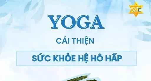YG Yoga cải thiện sức khỏe hệ hô hấp YG Yoga cải thiện sức khỏe hệ hô hấp