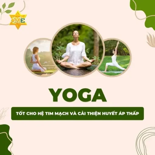 YG Yoga tốt cho hệ tim mạch và cải thiện huyết áp thấp