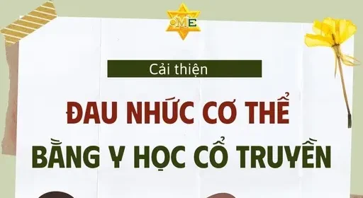 YHCT Cải thiện đau nhức cơ thể bằng Y học cổ truyền YHCT Cải thiện đau nhức cơ thể bằng Y học cổ truyền