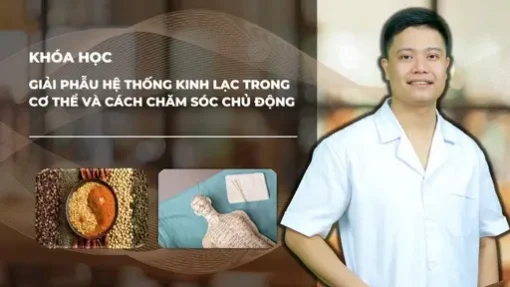 YHCT Giải phẫu hệ thống kinh lạc trong cơ thể và cách chăm sóc chủ động