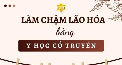 YHCT Làm chậm lão hóa bằng Y học cổ truyền