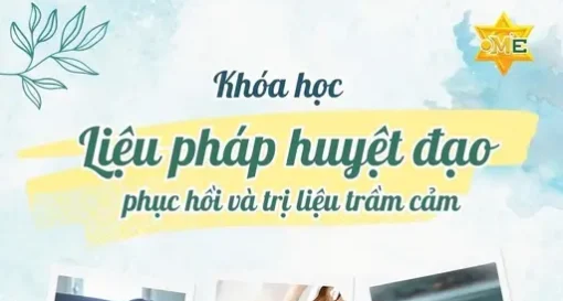 YHCT Liệu pháp huyệt đạo phục hồi và trị liệu trầm cảm