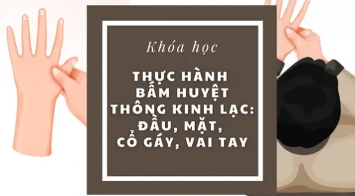 YHCT Thực hành bấm huyệt thông kinh lạc Đầu mặt, cổ gáy vai tay