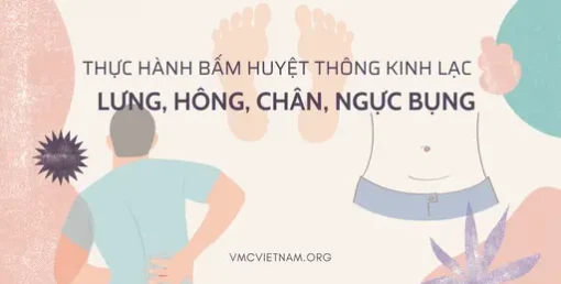 YHCT Thực hành bấm huyệt thông kinh lạc Lưng hông chân ngực bụng