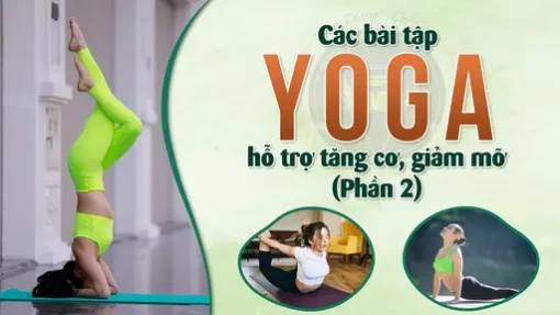 Yg Các bài tập Yoga hỗ trợ tăng cơ, giảm mỡ (Phần 2)