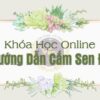 Khóa học Online - Hướng dẫn cắm sen đá