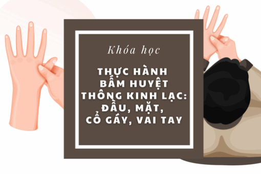 Thực hành bấm huyệt thông kinh lạc: Đầu mặt, cổ gáy, vai tay