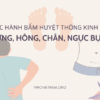 Thực hành bấm huyệt thông kinh lạc: Lưng, hông, chân, ngực bụng