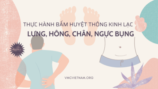 Thực hành bấm huyệt thông kinh lạc: Lưng, hông, chân, ngực bụng
