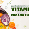 Tìm hiểu về dinh dưỡng cơ sở 02 - vitamin và khoáng chất