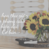 Cắm hoa thư giãn theo phong cách hiện đại - Cơ bản