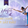 Yoga cơ bản cho người mới bắt đầu