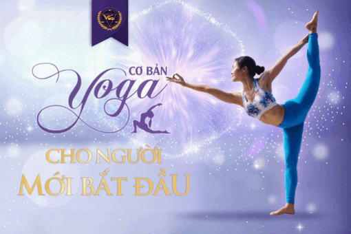 Yoga cơ bản cho người mới bắt đầu