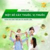 Một số cây thuốc, vị thuốc giảm ho cho trẻ em và người lớn