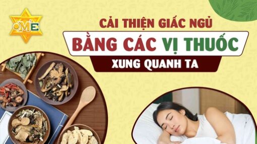 Cải thiện giấc ngủ bằng các vị thuốc xung quanh ta
