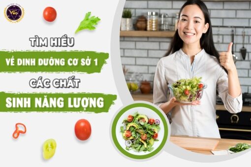 Tìm hiểu về dinh dưỡng cơ sở 01 - Các chất sinh năng lượng