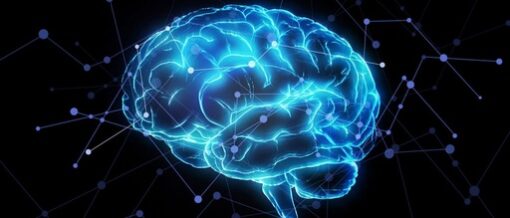 Cải thiện trí nhớ và khả năng tập trung bằng huyệt đạo