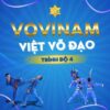 Vovinam Việt Võ Đạo trình độ 4