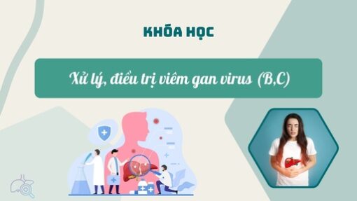 XỬ LÝ, ĐIỀU TRỊ VIÊM GAN VIRUS (B,C)