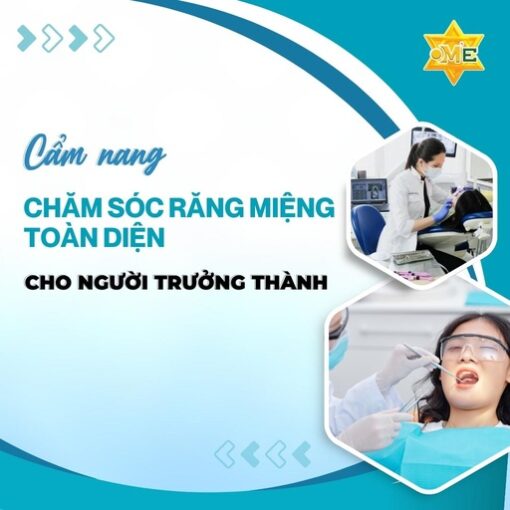 Cẩm nang chăm sóc răng miệng toàn diện cho người trưởng thành