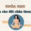 YOGA CHO ĐÔI CHÂN THON GỌN