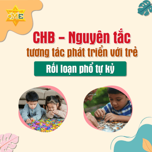 CHB – Nguyên tắc tương tác phát triển với trẻ Rối loạn phổ tự kỷ