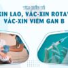 Tìm hiểu về vắc-xin Lao, vắc-xin Rotavirus, vắc-xin Viêm gan B