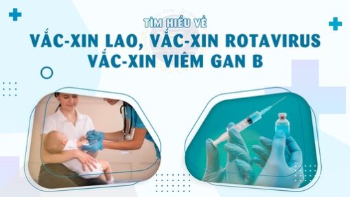Tìm hiểu về vắc-xin Lao, vắc-xin Rotavirus, vắc-xin Viêm gan B