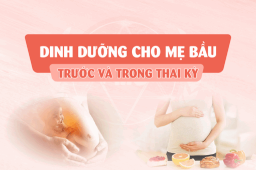 Dinh dưỡng cho mẹ bầu trước và trong thai kỳ