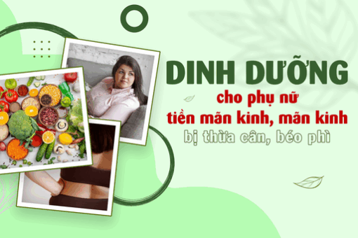 Dinh dưỡng cho phụ nữ thời kì tiền mãn kinh, mãn kinh bị thừa cân béo phì