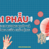 Giải phẫu hệ thống cơ xương khớp và cách phòng ngừa chủ động