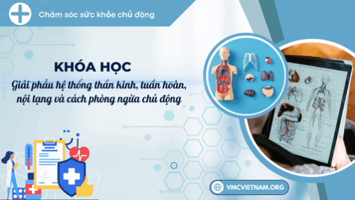 Giải phẫu hệ thống thần kinh, tuần hoàn, nội tạng và cách phòng ngừa chủ động