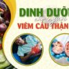 Dinh dưỡng cho người viêm cầu thận cấp