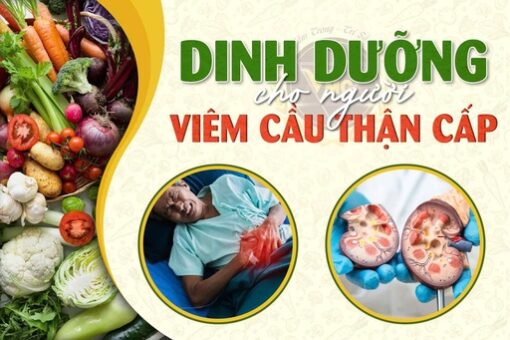 Dinh dưỡng cho người viêm cầu thận cấp