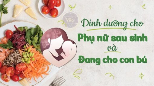 Dinh dưỡng cho phụ nữ sau sinh và đang cho con bú
