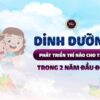 Dinh dưỡng phát triển trí não cho trẻ trong 2 năm đầu đời