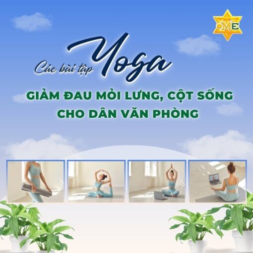 Các bài tập Yoga giảm đau mỏi lưng, cột sống cho dân văn phòng