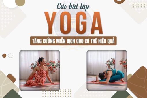 Các bài tập Yoga tăng cường miễn dịch cho cơ thể hiệu quả