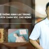 Giải phẫu hệ thống kinh lạc trong cơ thể và cách chăm sóc chủ động