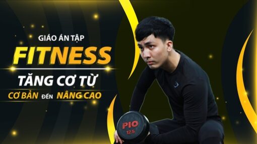 Giáo án tập Fitness tăng cơ từ cơ bản đến nâng cao