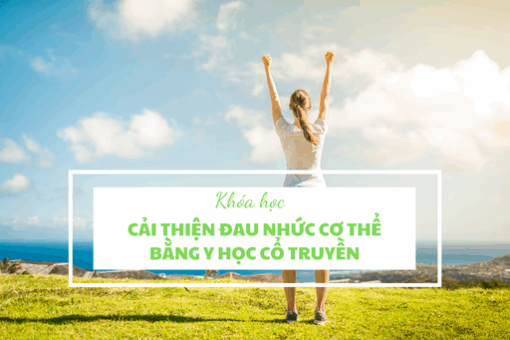 Cải thiện đau nhức cơ thể bằng Y học cổ truyền
