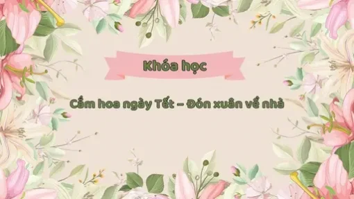 Khoá học cắm hoa ngày Tết