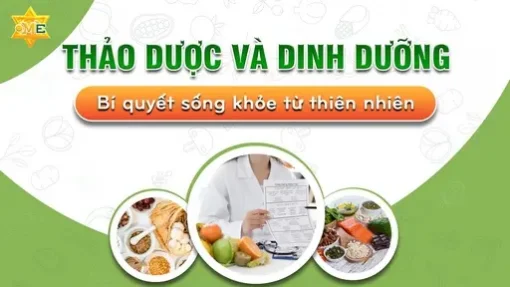 Thảo dược và dinh dưỡng