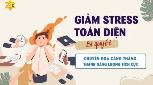 TLH giảm stress toàn diện