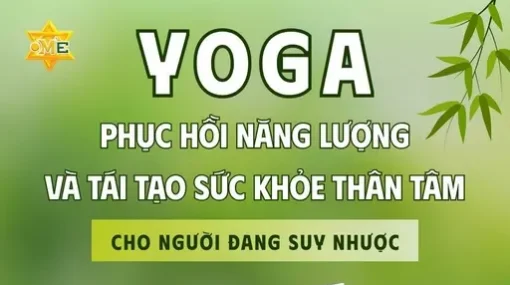 YG phục hồi năng lượng